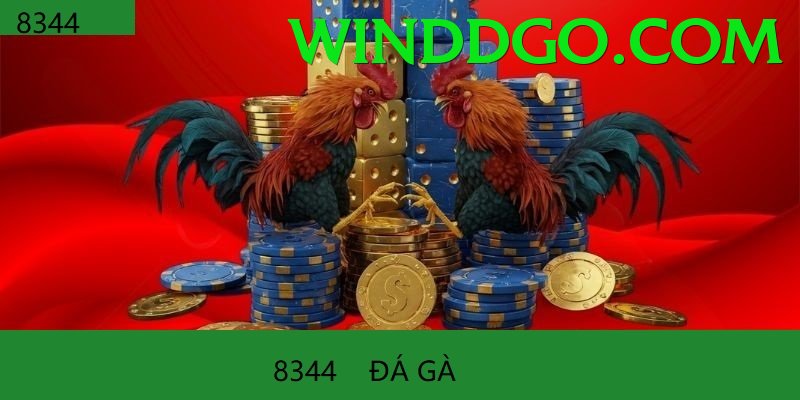 Đá Gà Trực Tiếp - Trải nghiệm tuyệt vời - Game offline